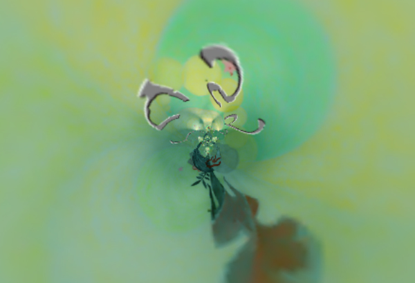 Lusyd artwork by C. S. Dearden and John Buck
