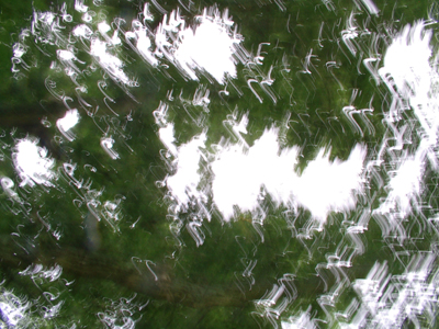 I Was Skipping Along In The Rain and Taking Photos!