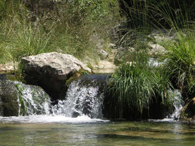 I Love to Walk Near Water